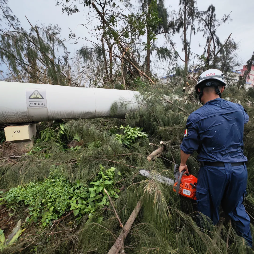 图片 1.png 图片 1.png